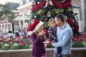 Holidays at Walt Disney World Resort
